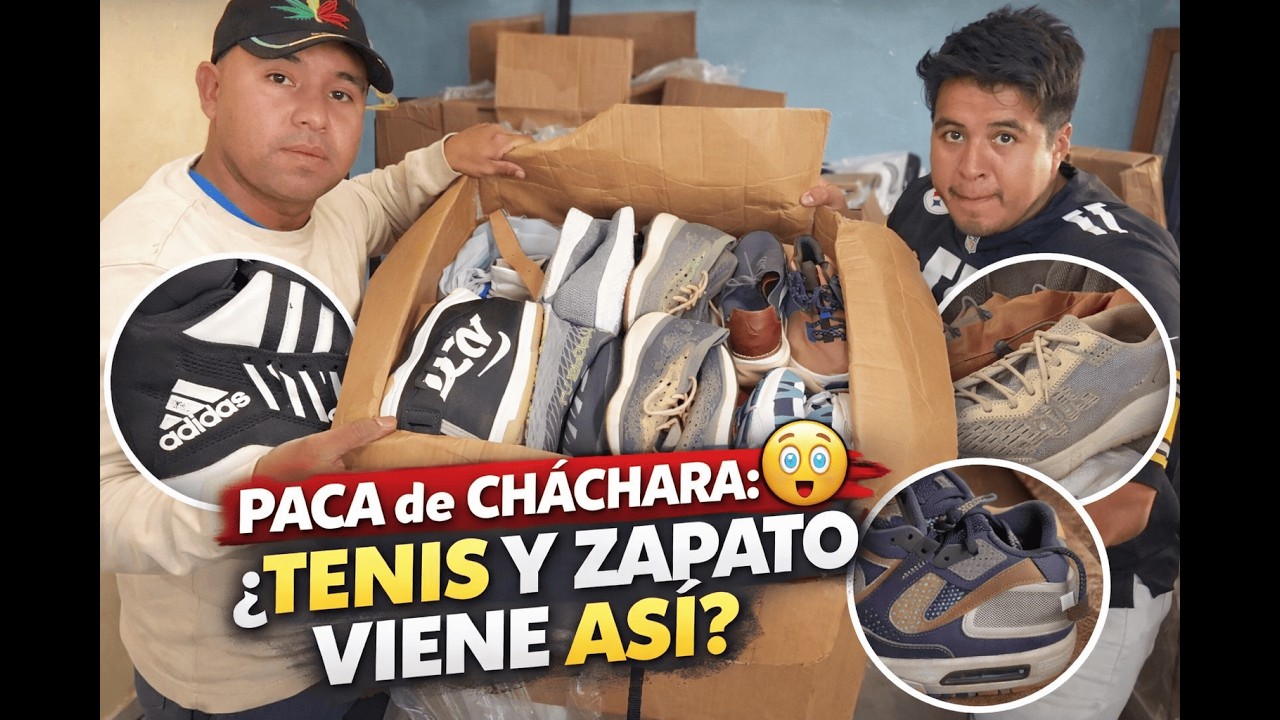 nos sorprendió esta paca del 2/vale la pena invertir