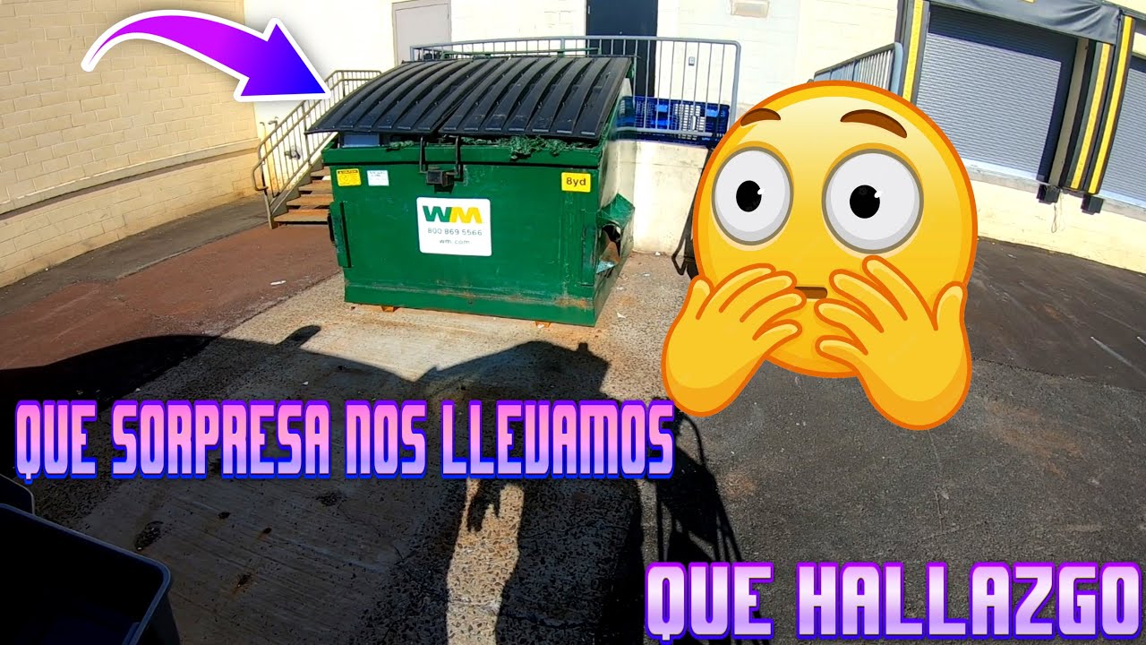 Increíble hallazgo en las basuras de la Tienda