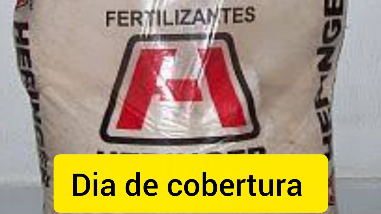 Pimentão dhara !! Primeira cobertura qual adubo usar.
