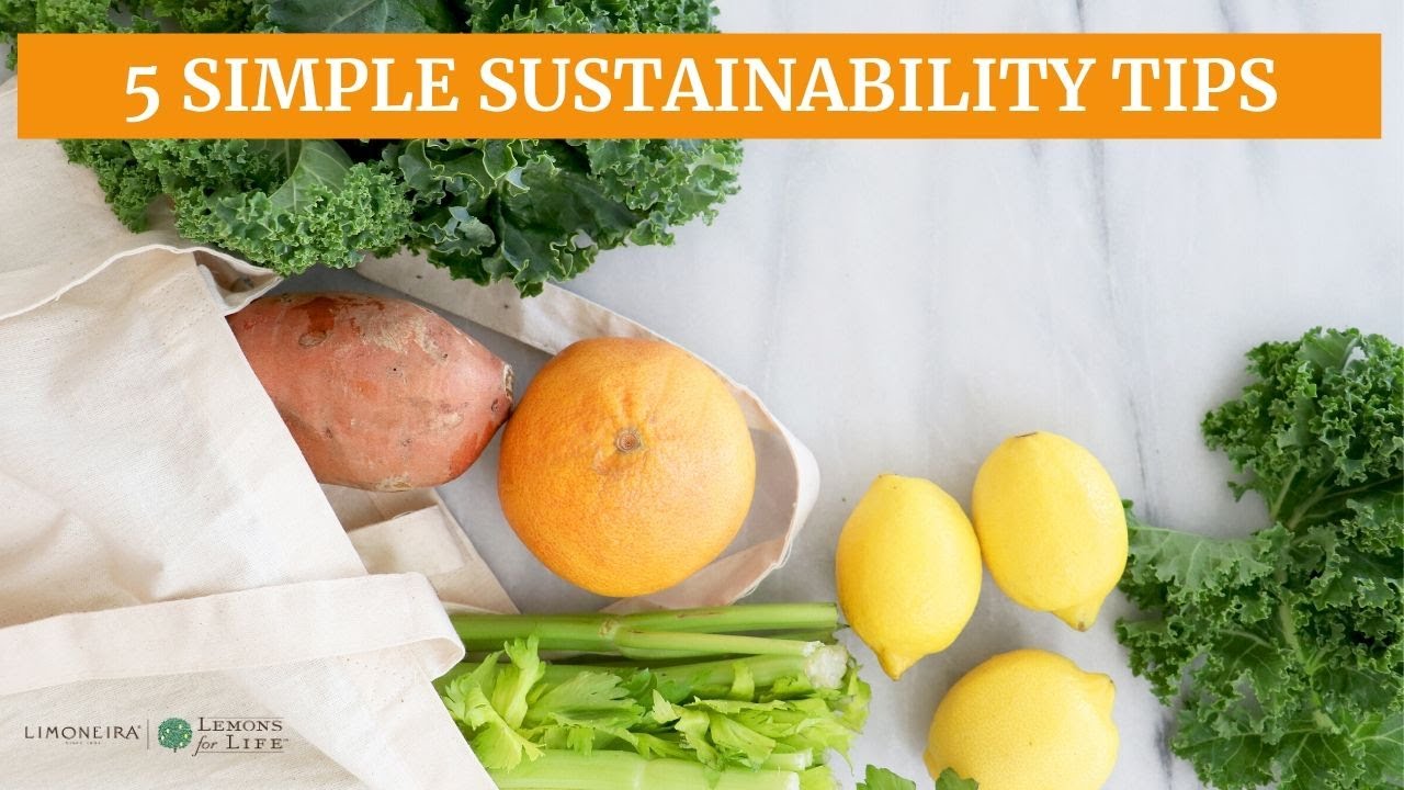 5 Simple Sustainability Tips! Prevent Food Waste, Save Money & Be Environmentally Friendly!