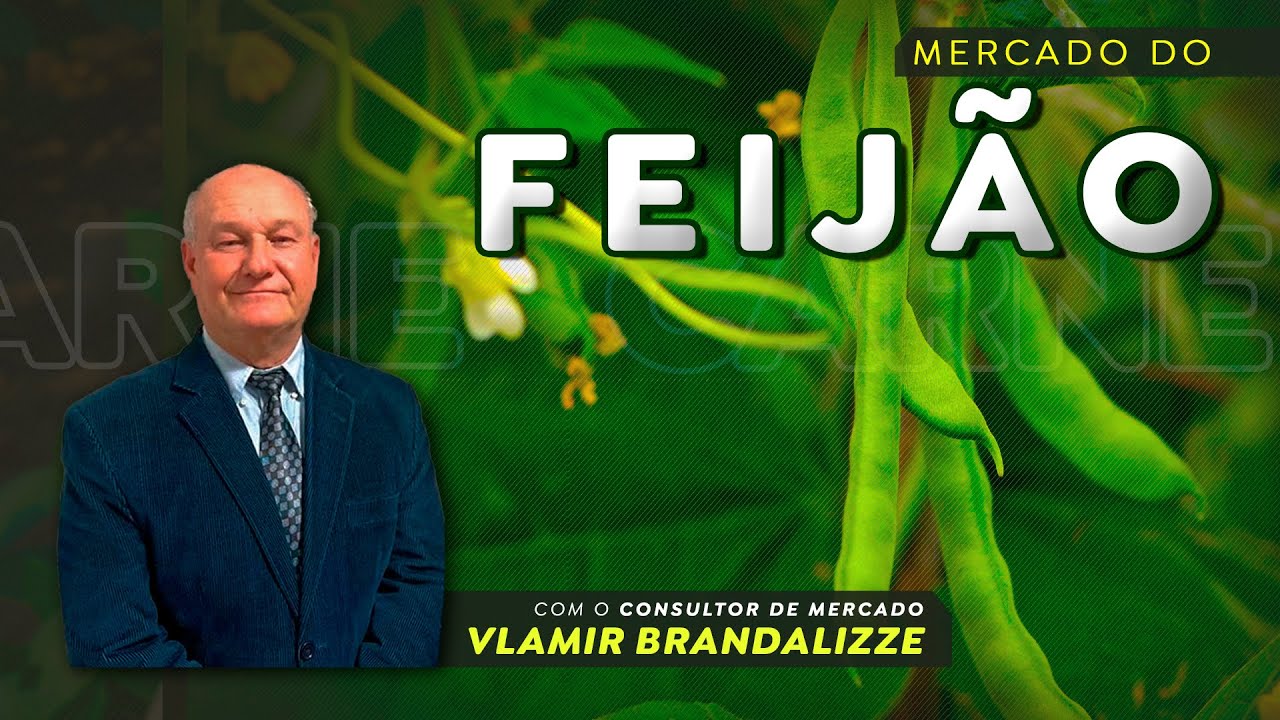 Preços do feijão podem subir ainda mais após problemas climáticos no Paraná