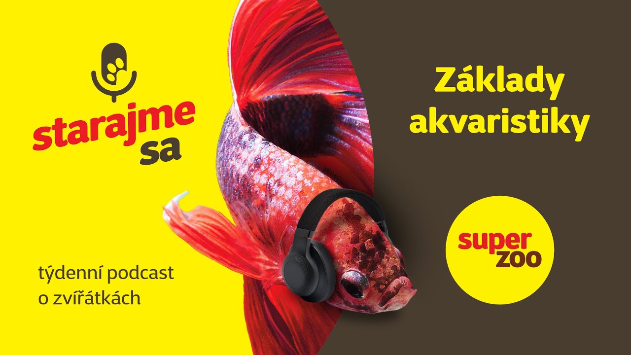 Základy akvaristiky | Podcast Super zoo