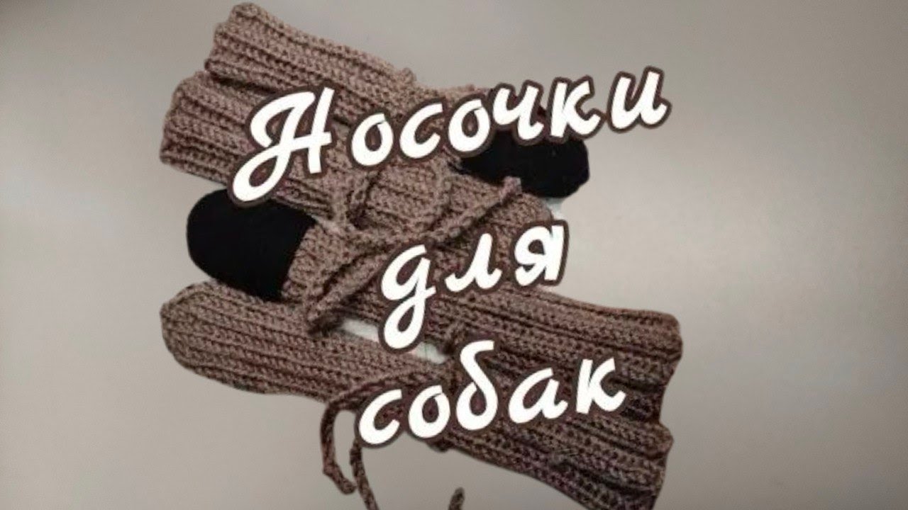 Как связать Носочки для собак, вязание спицами