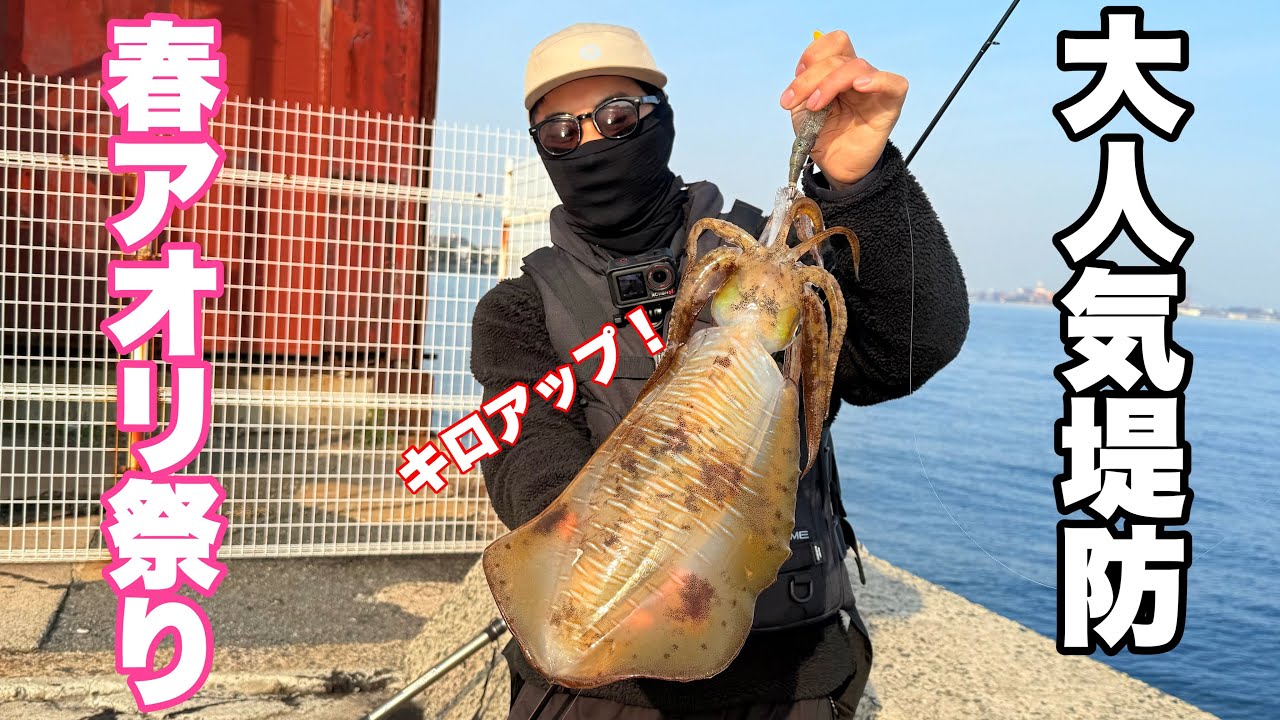 春イカ激戦区の堤防で良型連発！！このタイミングが鍵です。