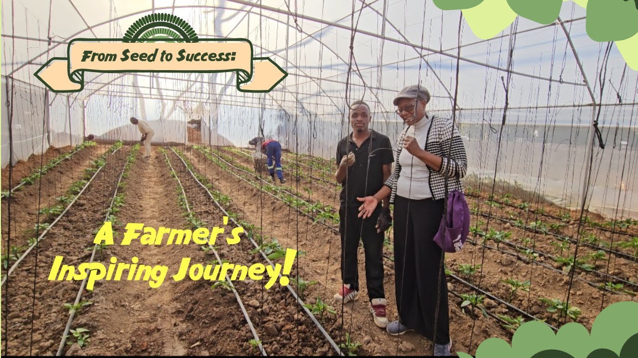 How Zimbabwean Women Are Building Wealth Through Farming#womenempowerment #farming #entrepreneur