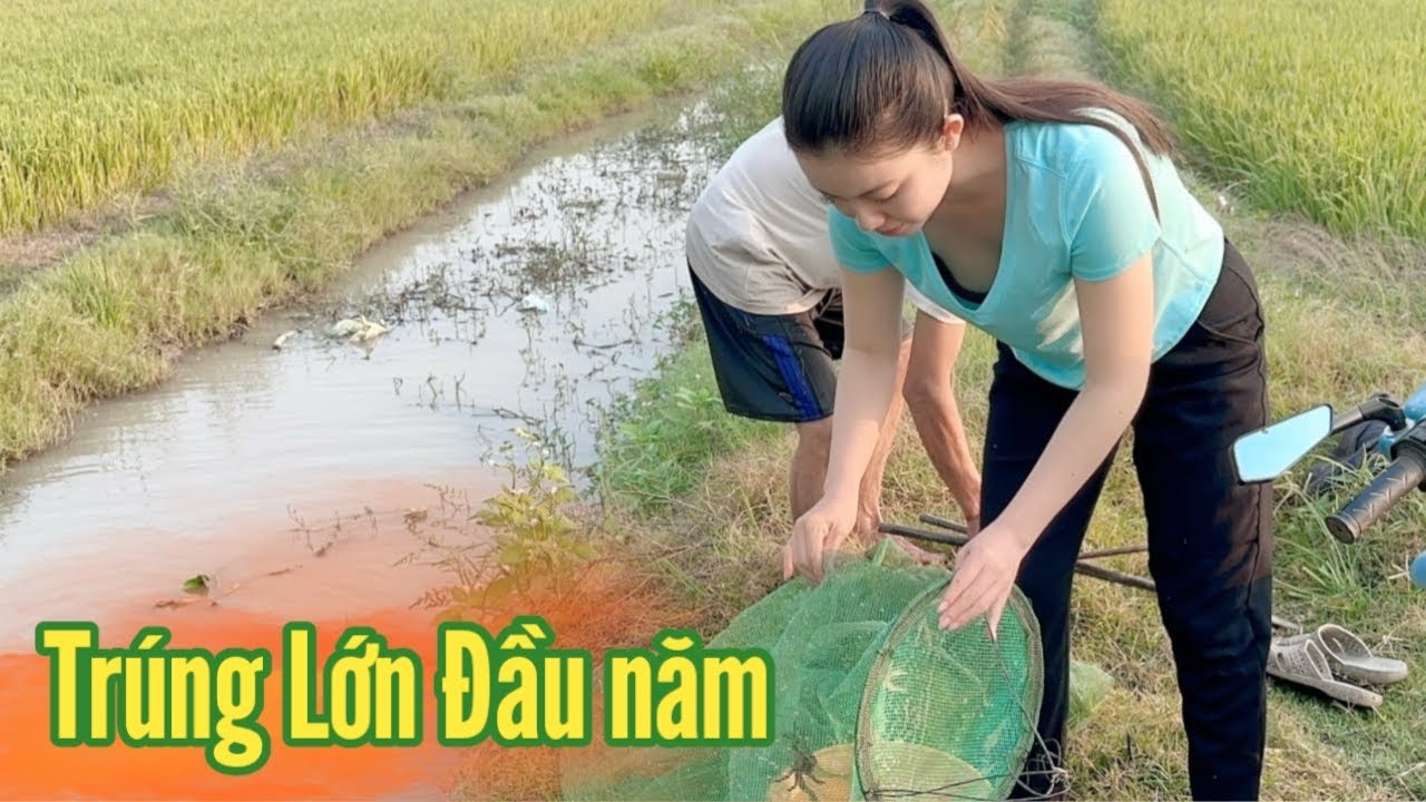 Mùng 7 Tết Cô Gái Quê ✅ Trúng Luồng Cá Tép Ếch Lươn Đủ loại tươi Ngon.