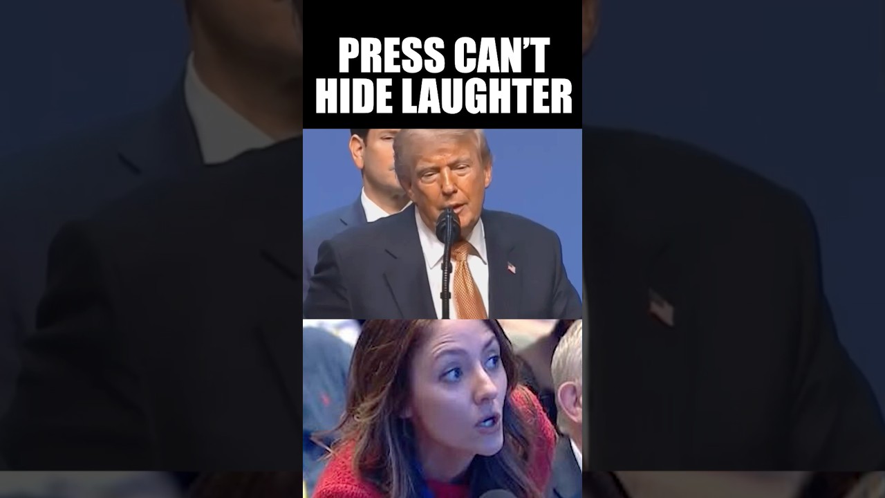 Trump Makes Press Laugh w/ Reaction to MSNOW Question