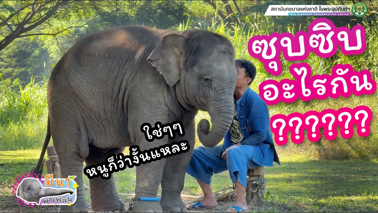 มีนา พาเพลิน 23 พฤศจิกายน 2567 ลูกสาวได้ออกมาโชว์ตัวแล้วจ้าาาาาา