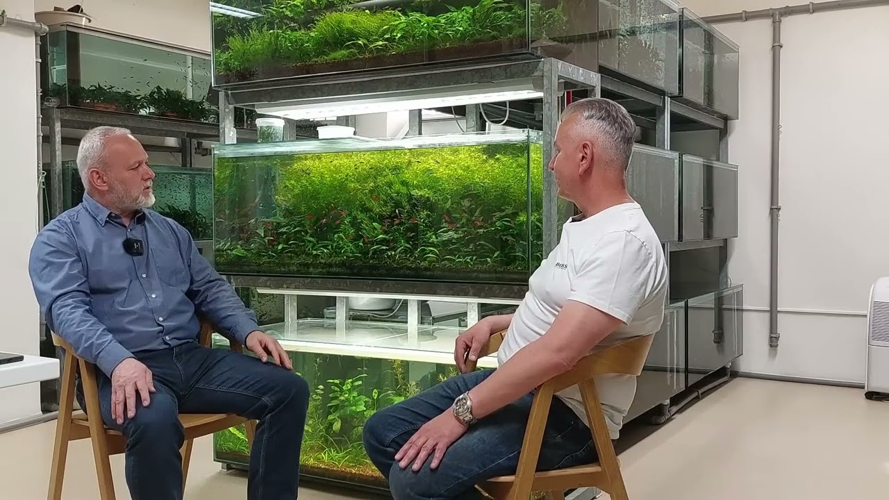 Akvaristika může být velmi nenáročným koníčkem 