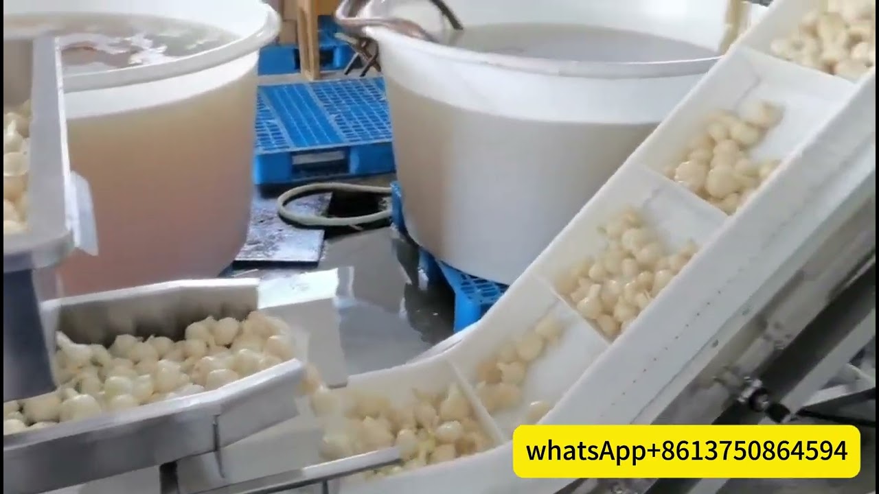 Sweet Garlic Bag-Filling Vacuum Packager Garlic Bag-Filling Vacuum Packaging Machine with liquid