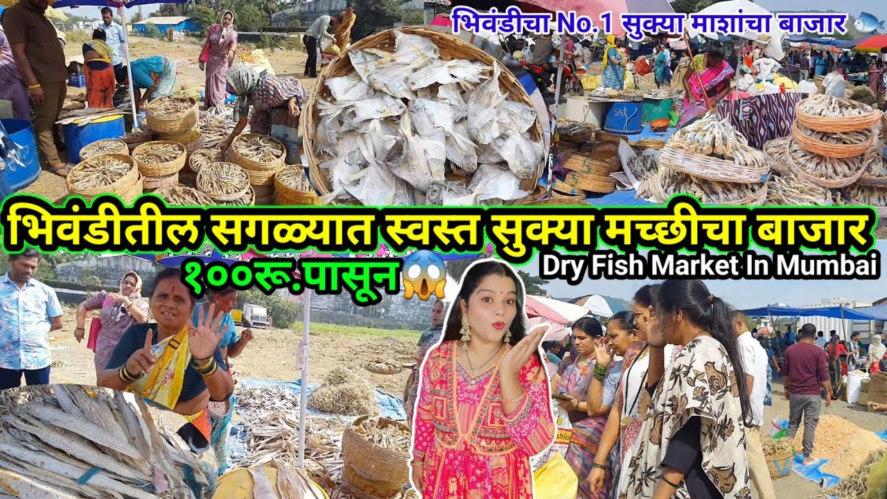 भिवंडीतील प्रसिद्ध सुक्या माशांचा बाजार 🐠🦐 | Sonale Gav Dry Fish Market | Dry Fish Wholesale Market 
