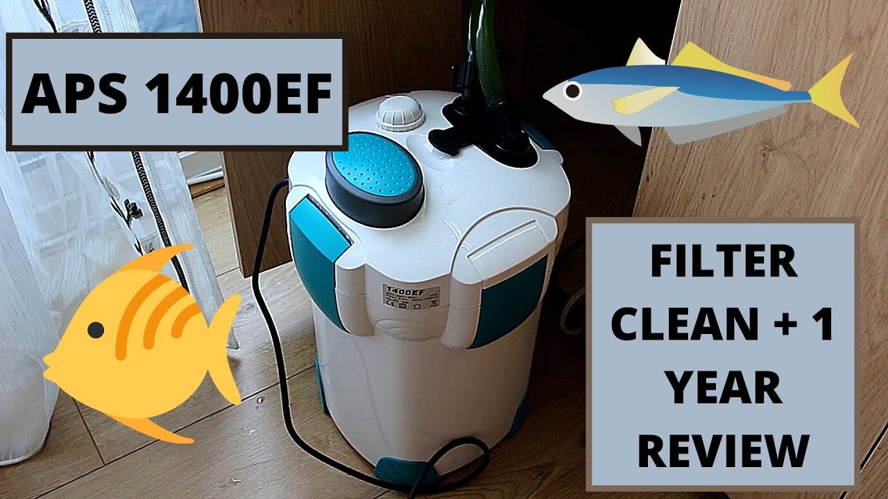 All Pond Solutions 1400EF Filter Clean & 1 Year Thoughts - Fluval Roma 200