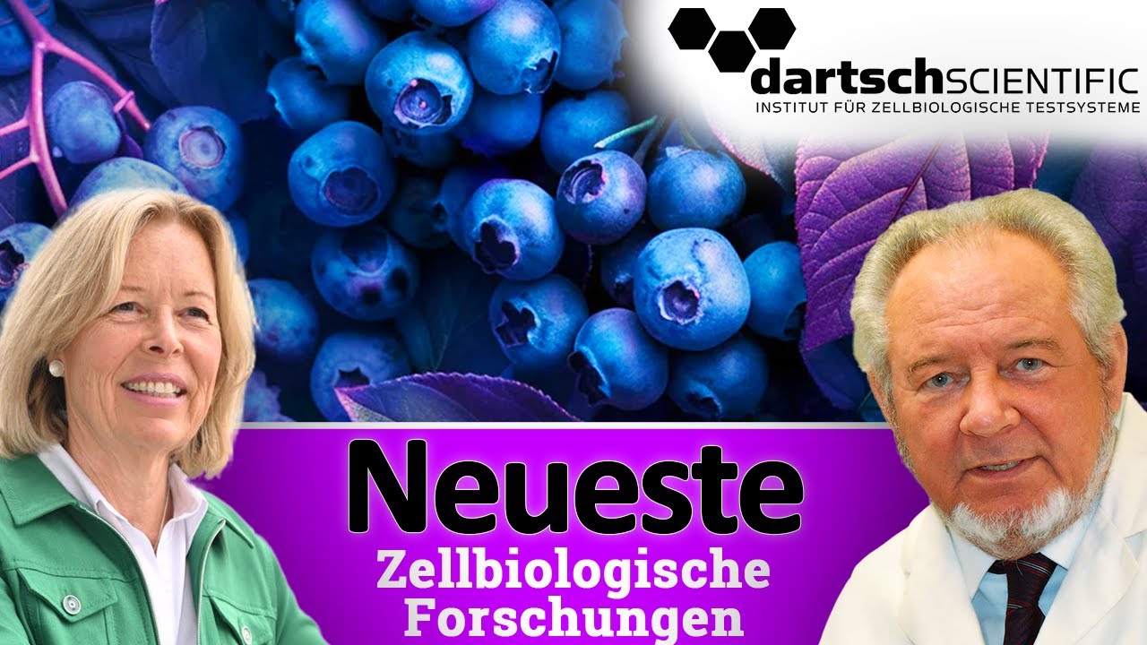 Wilde Blaubeere besser als Ibuprofen ? – Wissenschaft im Vergleich