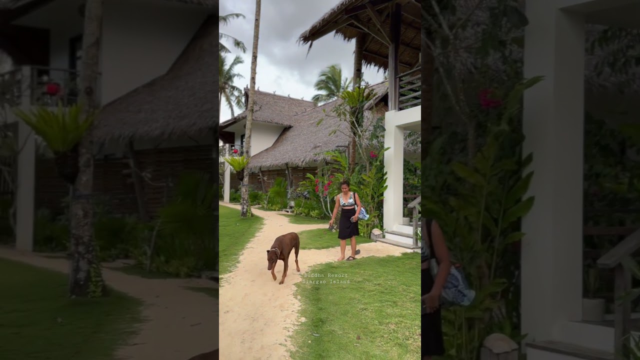 Buddha Resort, Siargao Island #philippines #travel #siargao #vacation