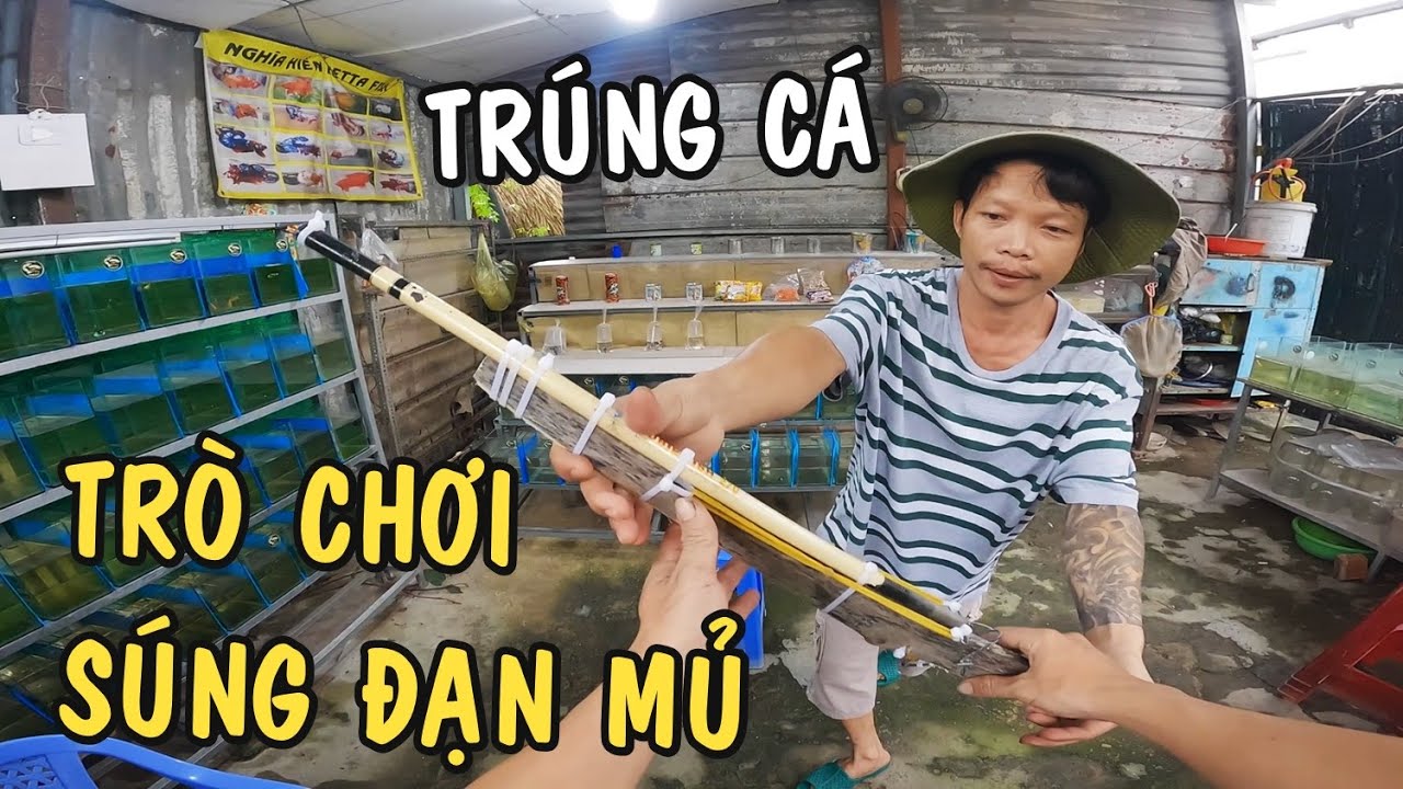 Trò chơi Súng Bắn Đạn Mủ trúng thưởng lớn cùng ông chủ trại cá Betta