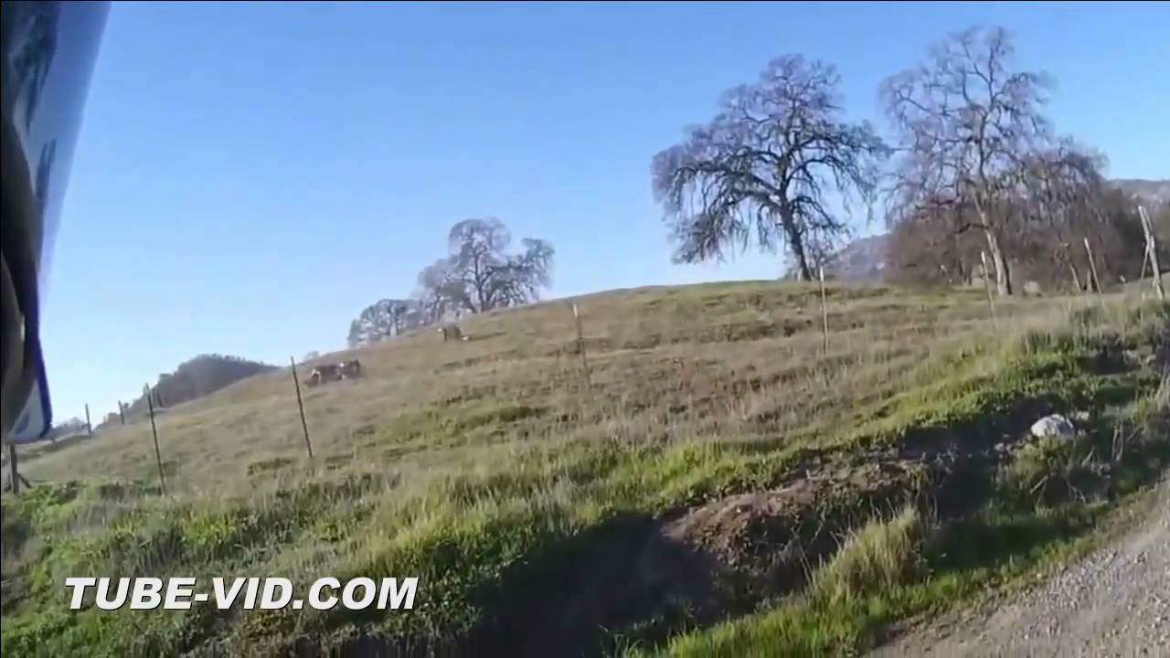 Fail Compilation January 2015
