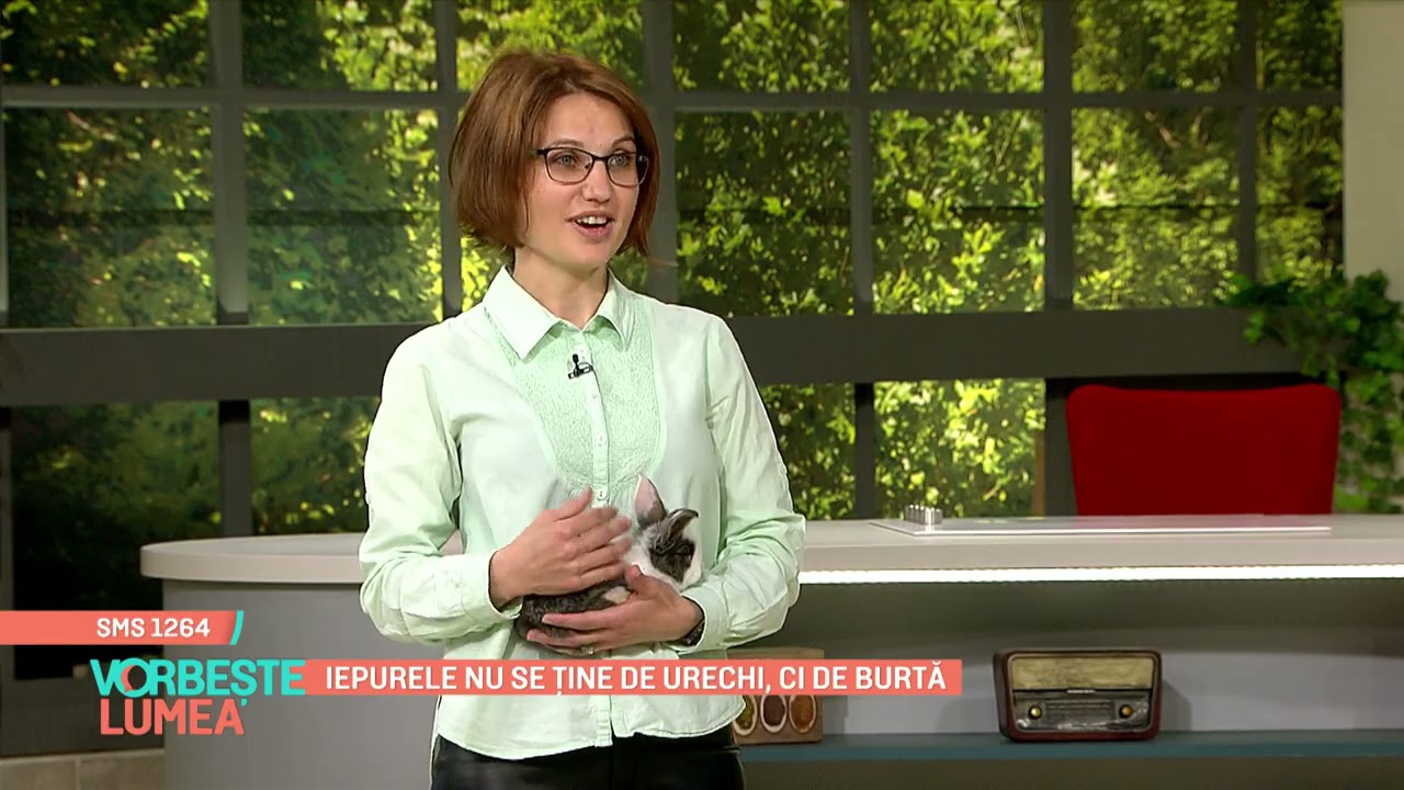 Iepurele, animalul de companie perfect pentru copii