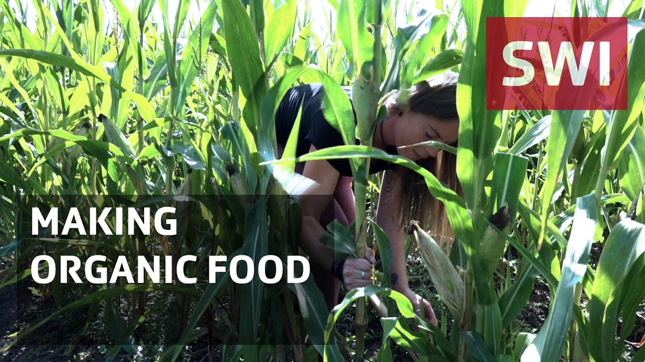 What research can do for organic farming