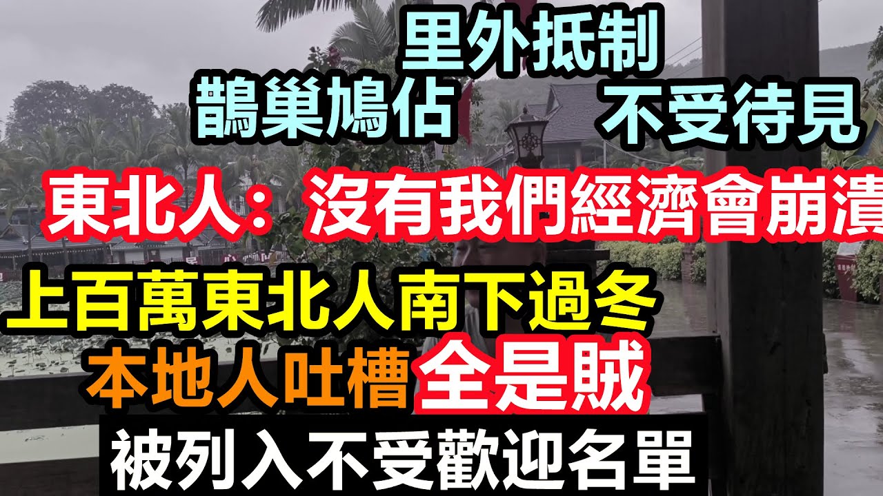 數百萬東北人南下過冬，西雙版納和海南人全力抵制，本地人吐槽他們什麼都拿，沒有一個是好東西，東北人：沒有東北人經濟就會崩潰！#社會現狀#海南過冬#西雙版納過冬#北海過冬