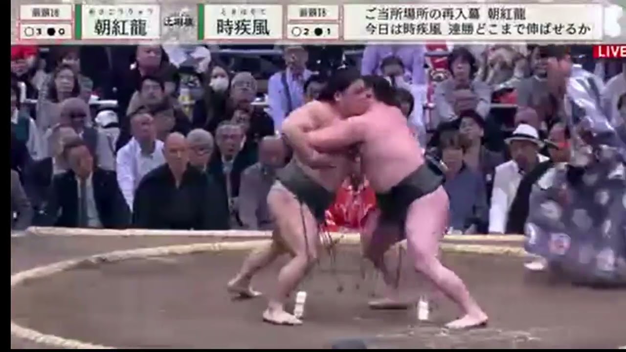Asakoryu vs Tokihayate (Day 4 March Basho 2025) | #zodihc on #Twitch