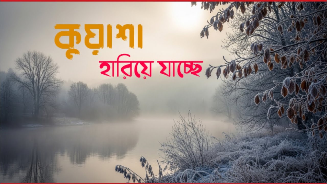 কুয়াশা হারিয়ে যাচ্ছে | নতুন দিনের আলোয় নতুন শুরু | Inspirational Bangla Song | MEDIA Song