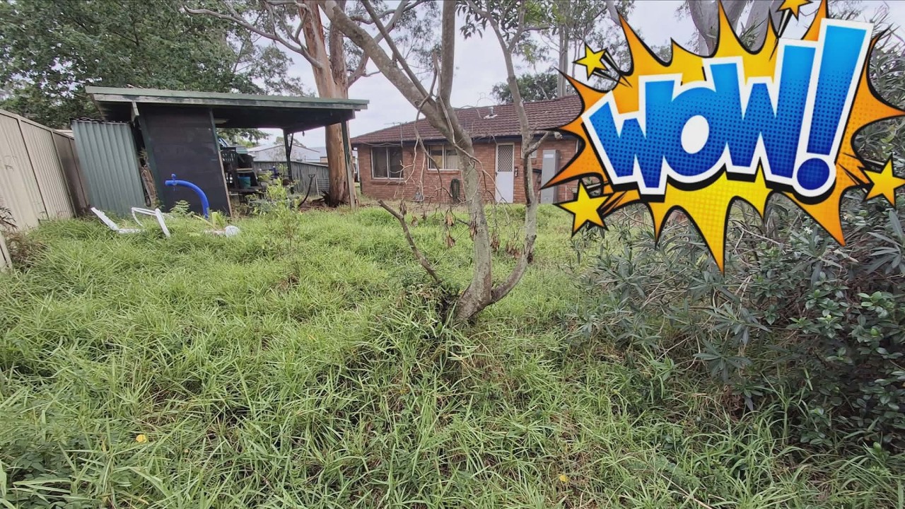 Is This the BEST Yard Cleanup EVER!?