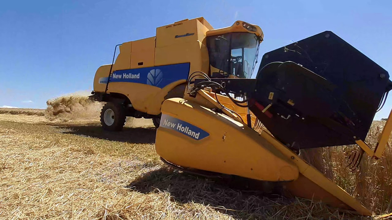 New Holland cs 660, colheita de trigo em Sao Sepé RS!!!!