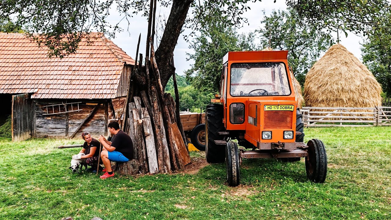 Farm Life Morning Routine Family in the Carpathians! Hard week on the countryside farm! Milking Cows