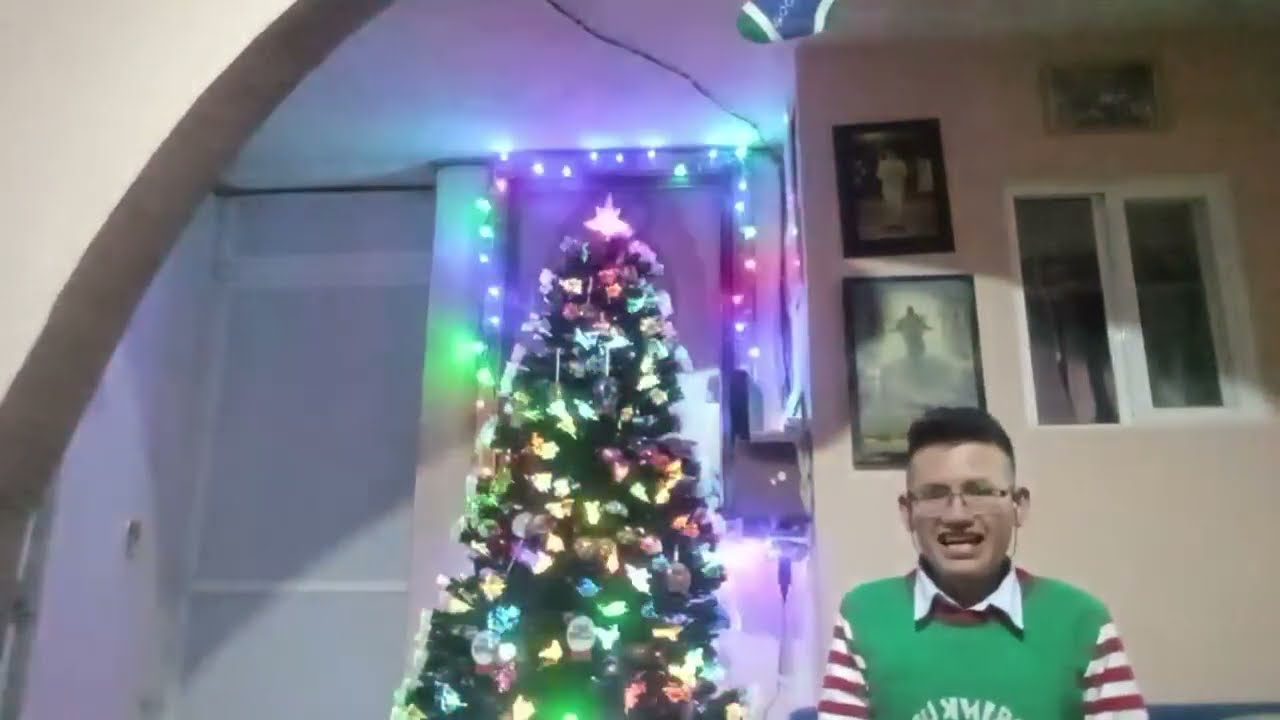 Espectáculo de luces navideñas 2024