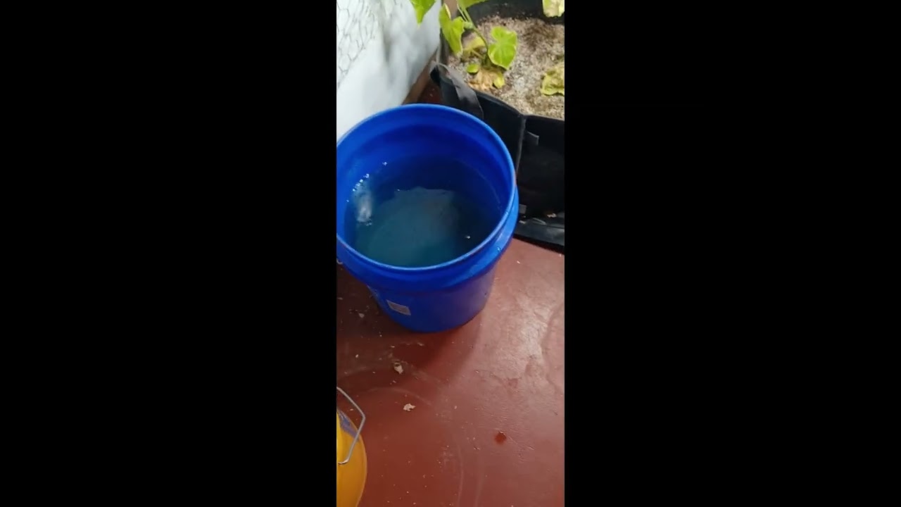 Cocoa Coir VS Hydroponic Tomatoes
