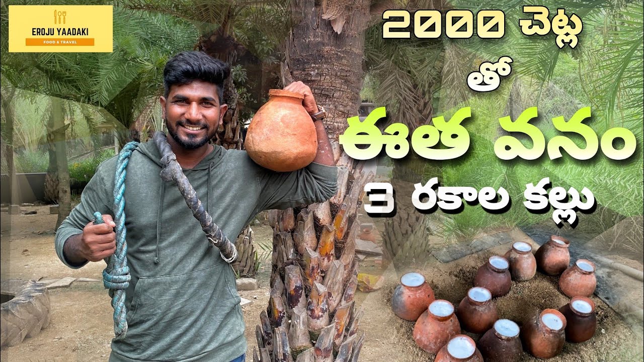 Eetha Vanam Hyderabad nunchi 40km lo 2000 palm trees | 3 types of palm wine | Food Vlogs