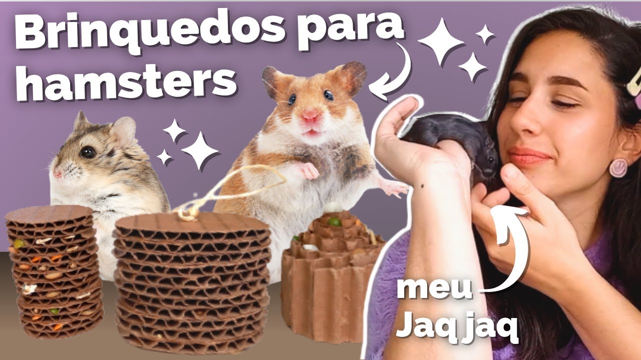 Como Fazer Brinquedos Para Hamsters e Outros Roedores | DIY BOREDOM BREAKERS DE PAPELÃO 🐹📦