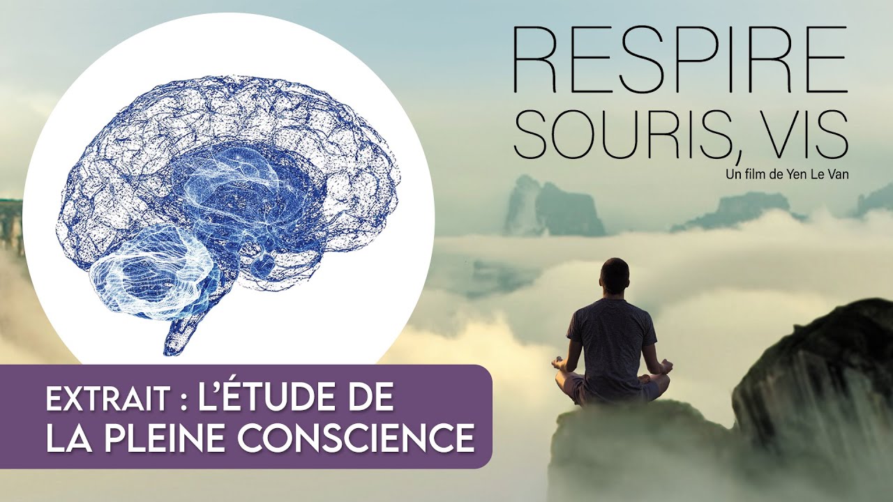 Respire, Souris, Vis // Extrait 5 : L'étude de la pleine conscience