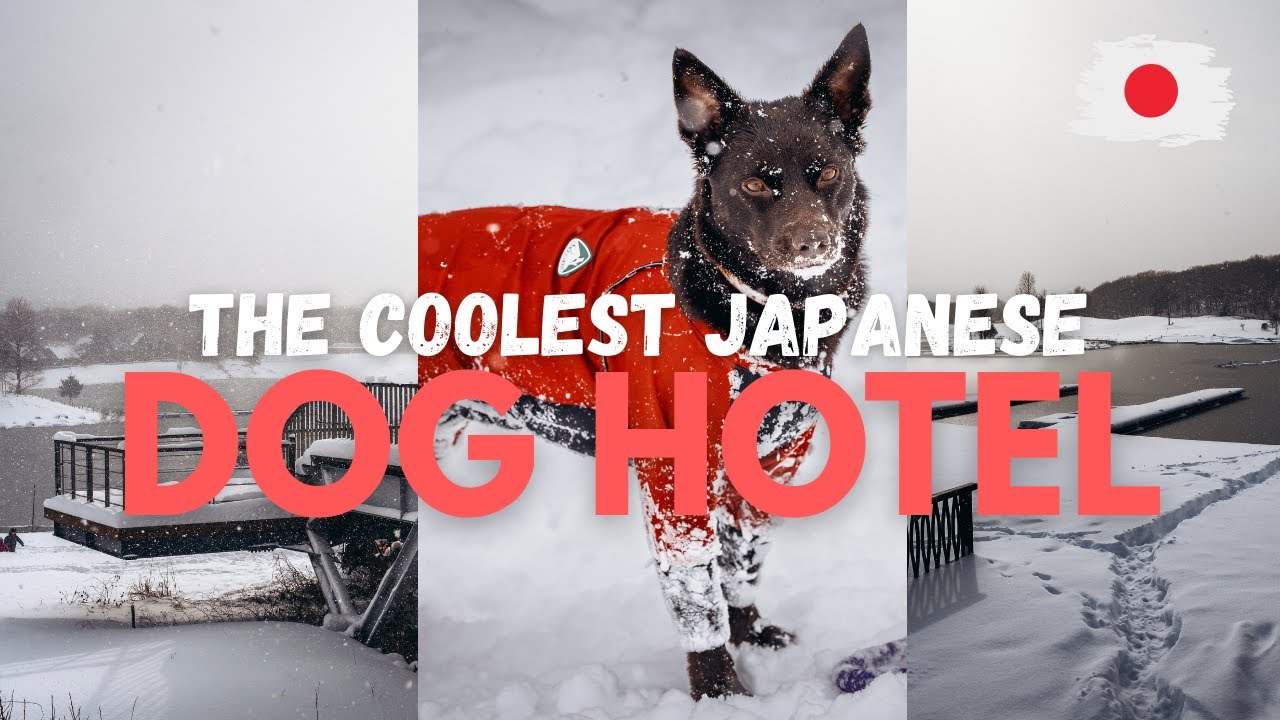 The BEST dog resort in Japan is not in Tokyo?