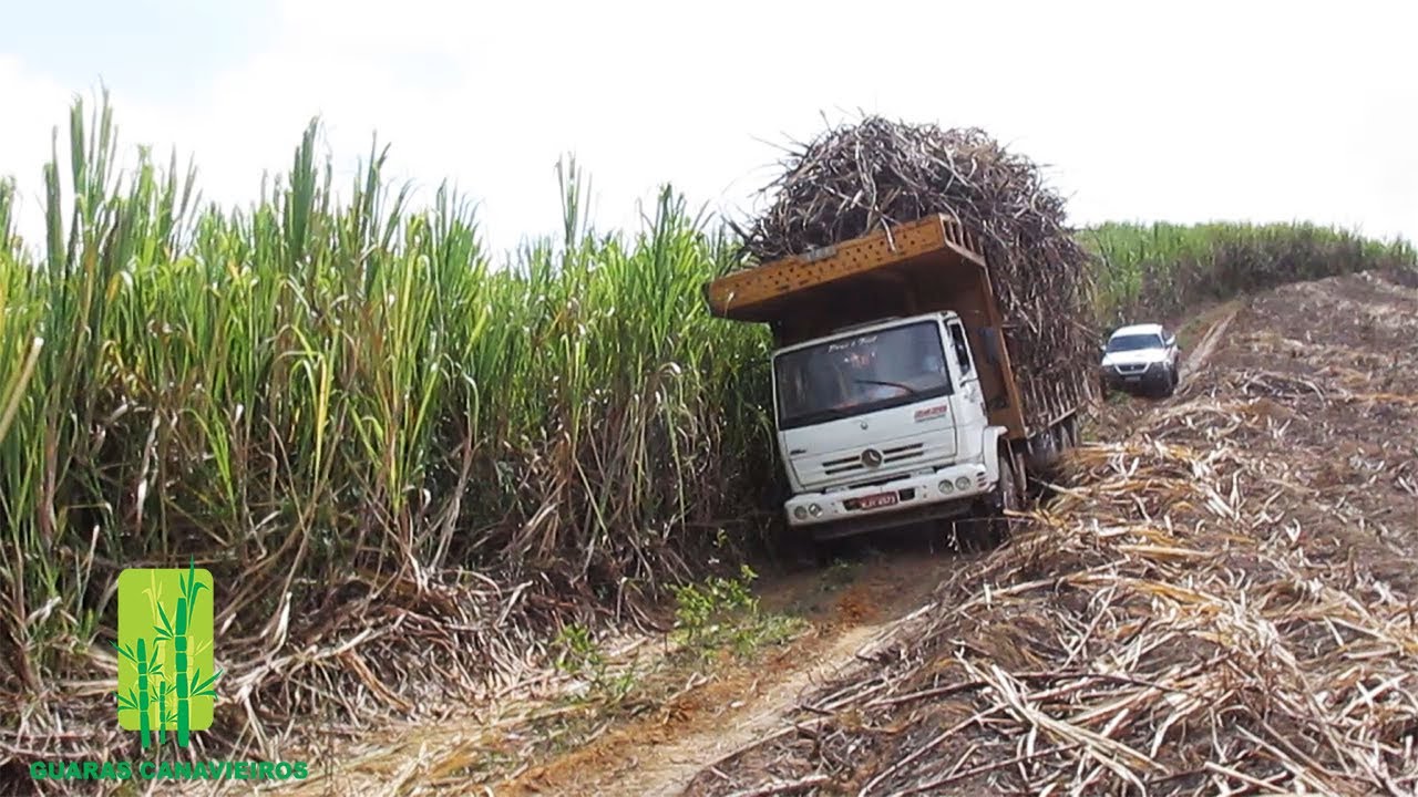 CAMINHÃO DESCENDO LADEIRA SUPER CARREGADO DE CANA EM PERNAMBUCO.