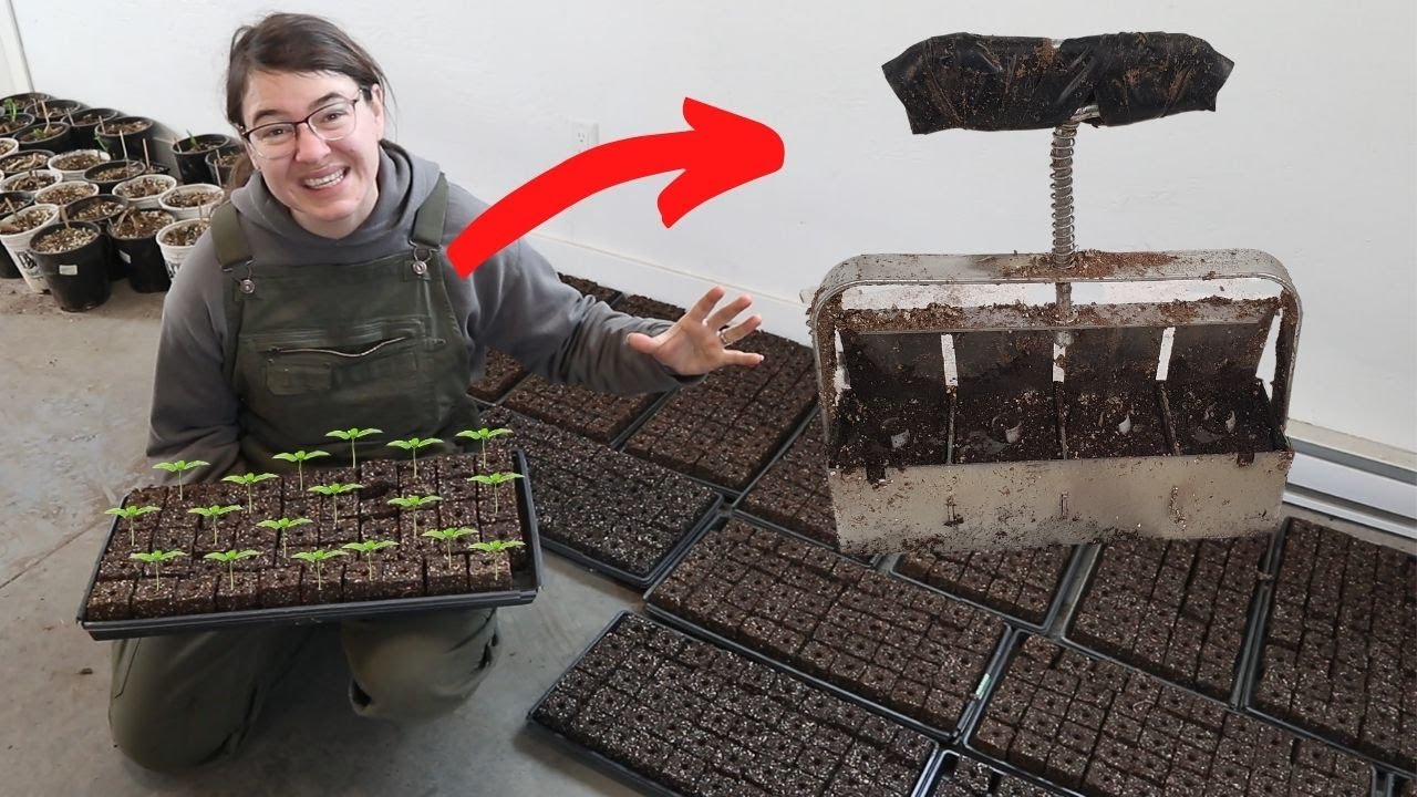 How To Soil Blocks 101 | Zero Waste Plastic Free Gardening and Farming
