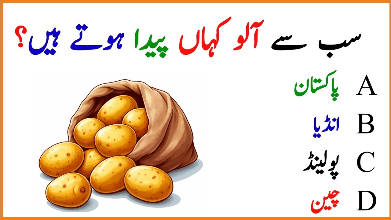 GK Competitive Exam||World GK||GK MCQs||GK in Urdu||Intelligent GK||GK Facts||