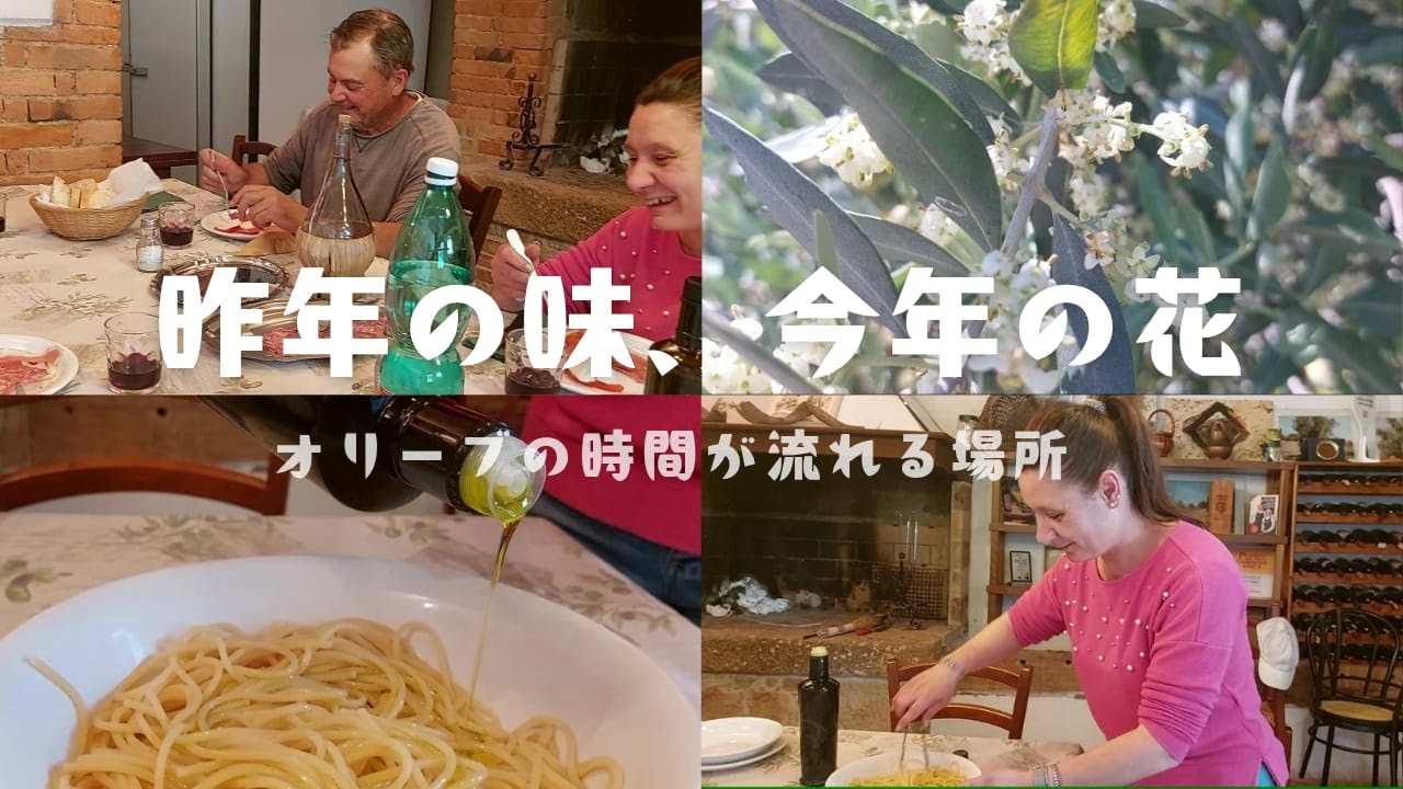 【シエナの本物オリーブオイル】昨年のオリーブオイルと今年の花 ｜ 本物のオリーブオイルだからこそ出来るシンプルパスタ ｜飾り気がないほど美味しい！ 作り手の素朴なもてなし