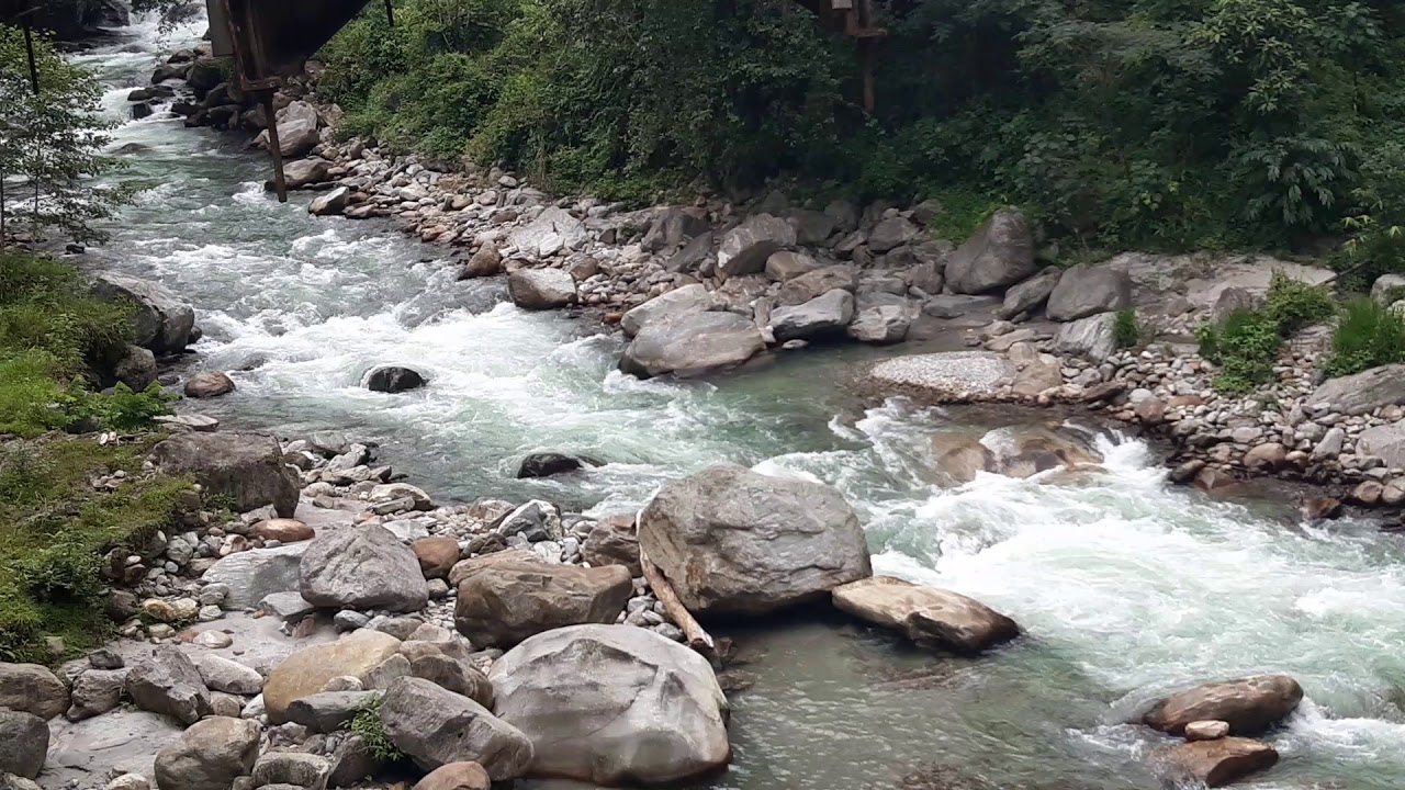 Rimbi river / west sikkim /