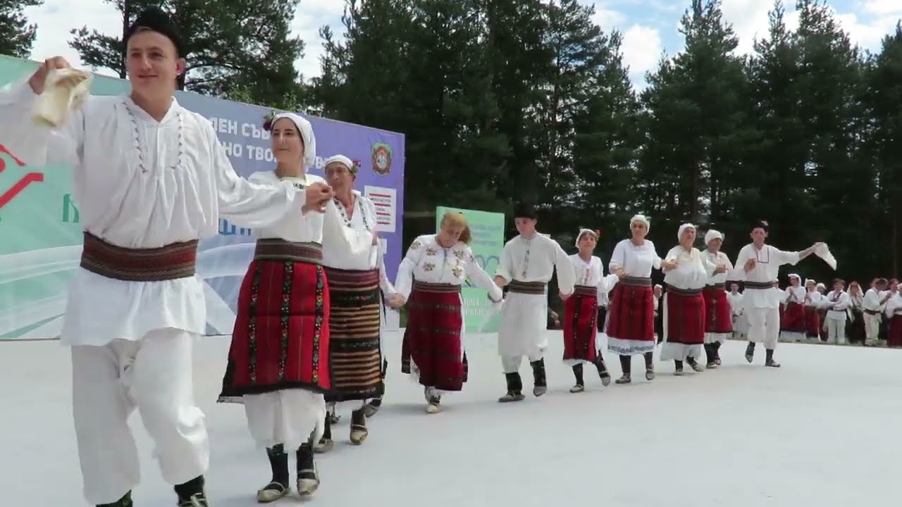 Kosovo, Vidin region - 2022