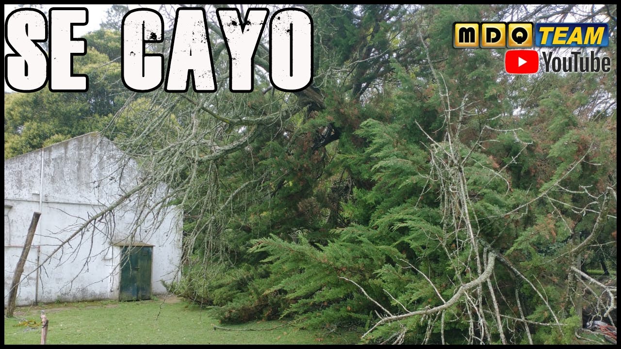 Casi nos rompe la casa y precisamos ayuda