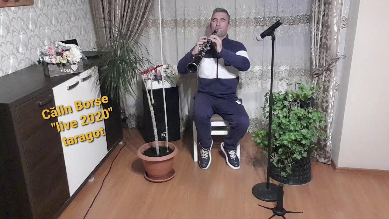 Live taragot- Mociriță cu trifoi  Călin Borșe