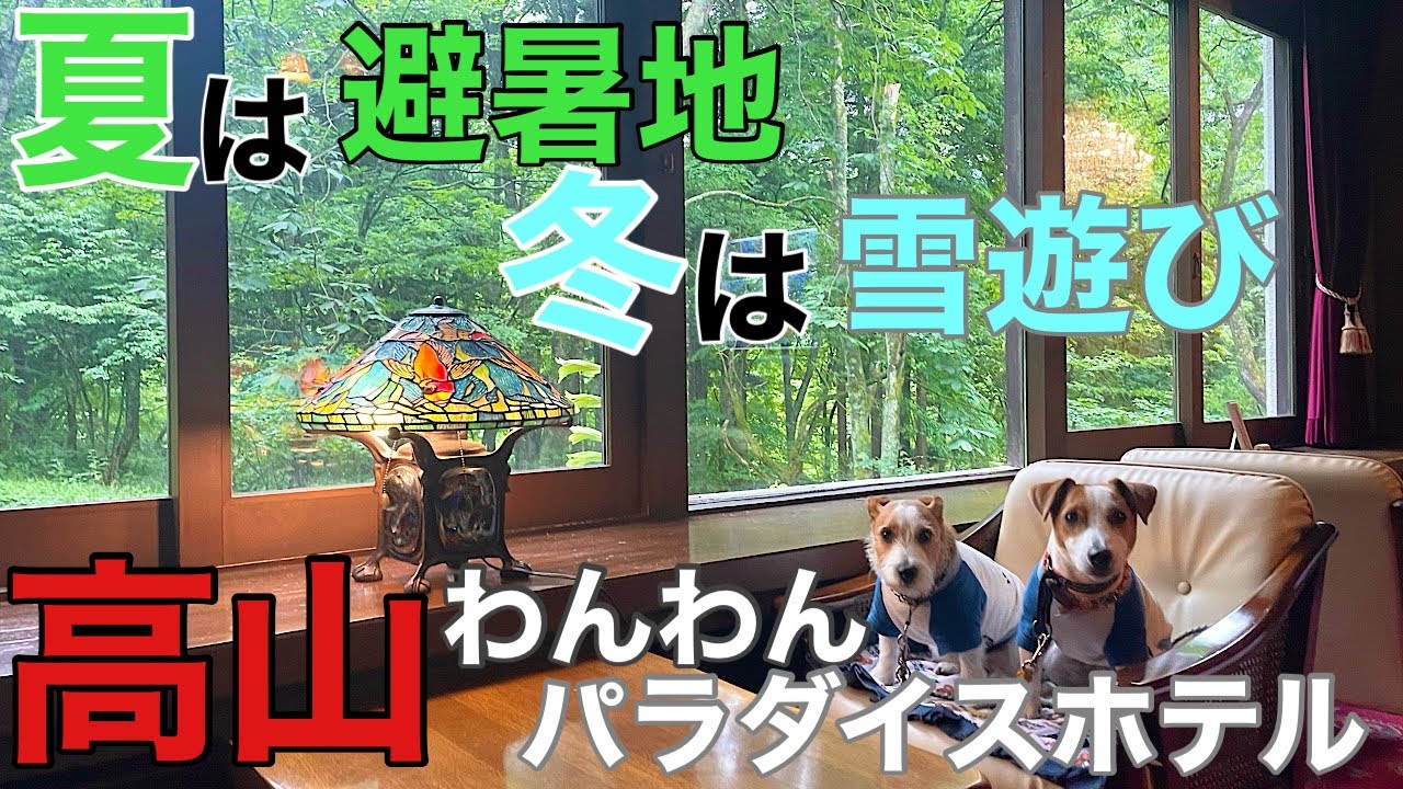 【おすすめ】大好きな高山わんわんパラダイスホテルに行ってきた!!