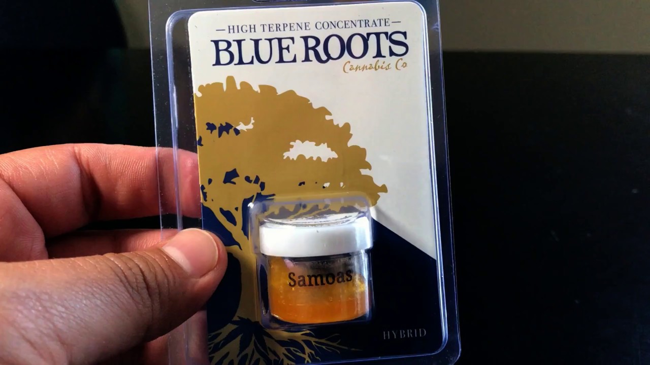 Samoas HTE By Blue Roots Cannabis