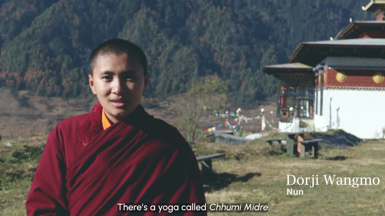 Traditional medicine in WHO South East Asia Region
