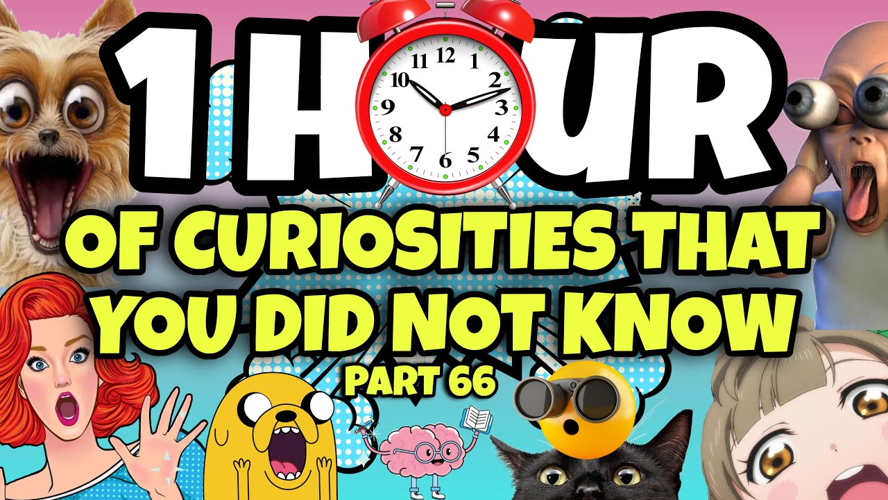 1 HOUR OF CURIOSITIES AND THINGS YOU DIDN'T KNOW 🧠⏰ #66