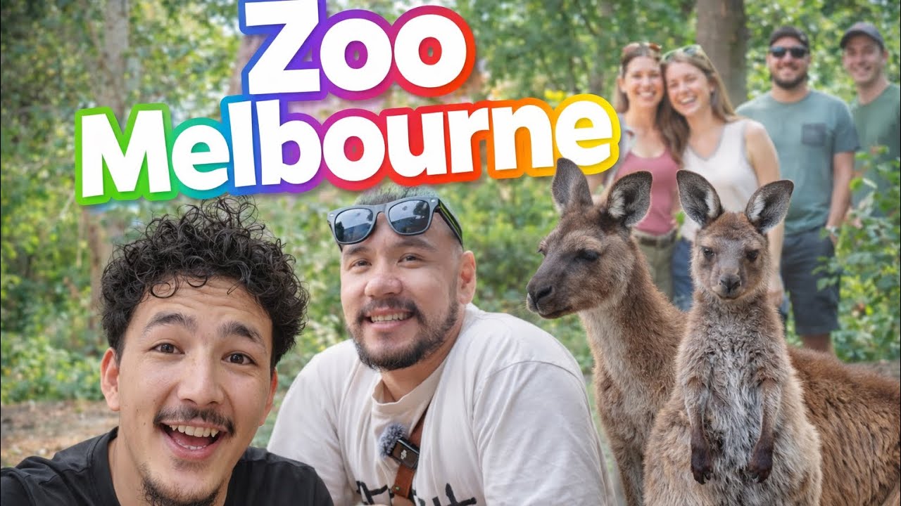 اولین بازدید من از Melbourne Zoo | ولاگ ملبور