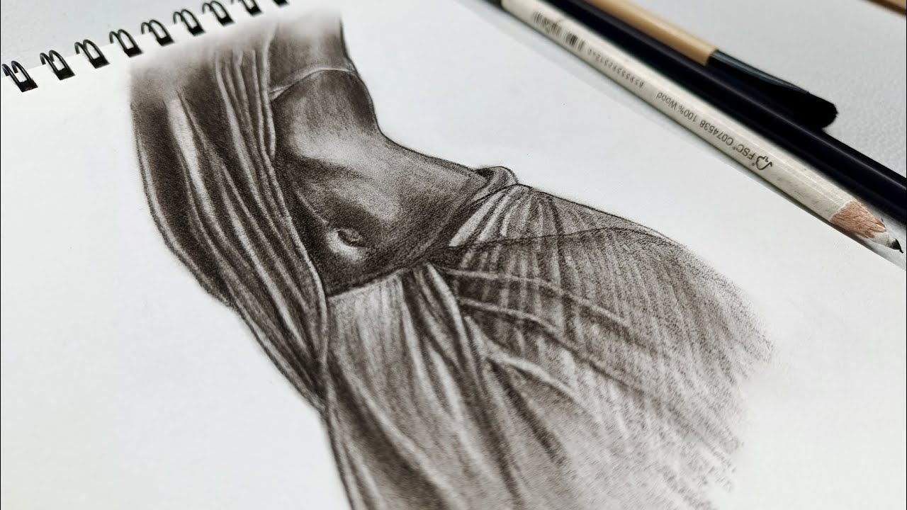 Pencil drawing and Shading || tutorials and techniques || Indian Sari Drawing Easy