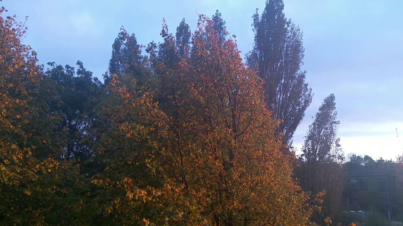 Autumn in Manchester