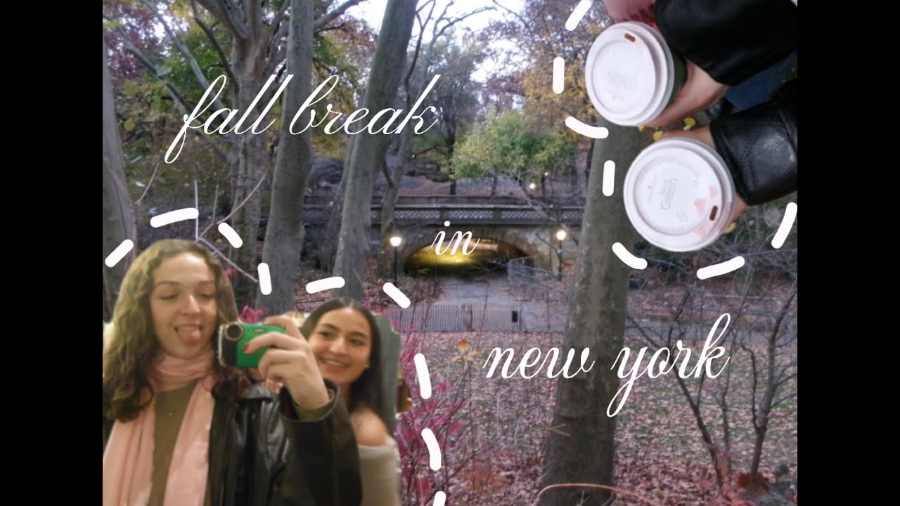 the new york vlog